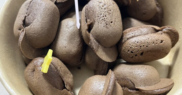 これとコレ～ベビーカステラと季節のスイーツのお店～