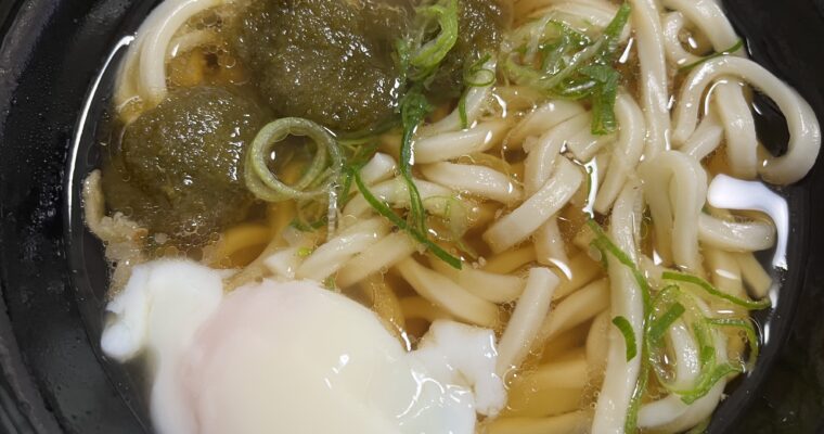 名代 かすうどん なが田